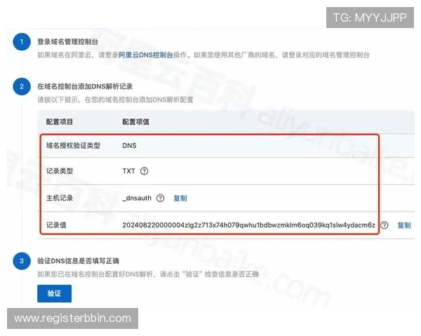 BBIN线上登陆安全验证流程解析确保每次登录都安全可靠