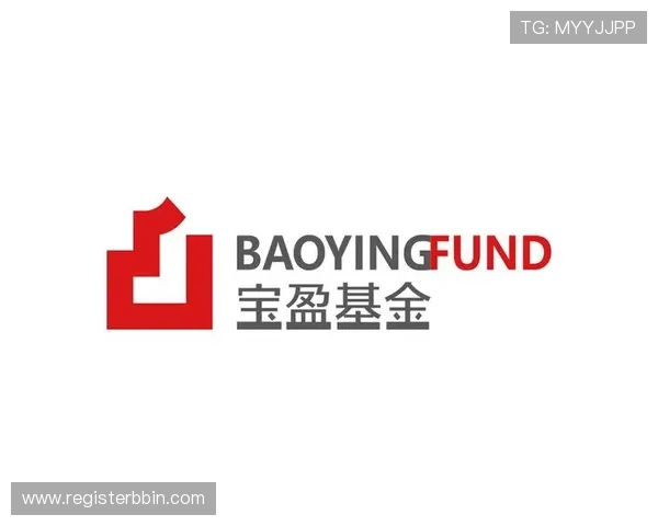 宝盈真钱官网技术保障,确保每一笔交易的安全与顺畅 宝盈真钱官网技术保障,确保每一笔交易的安全与顺畅